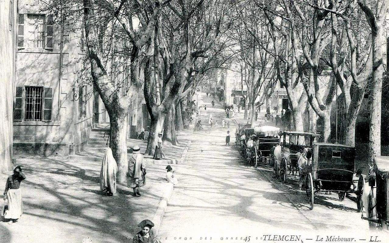 Tlemcen 03.jpg
